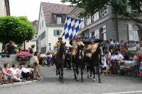 IMG_6560 (2) 